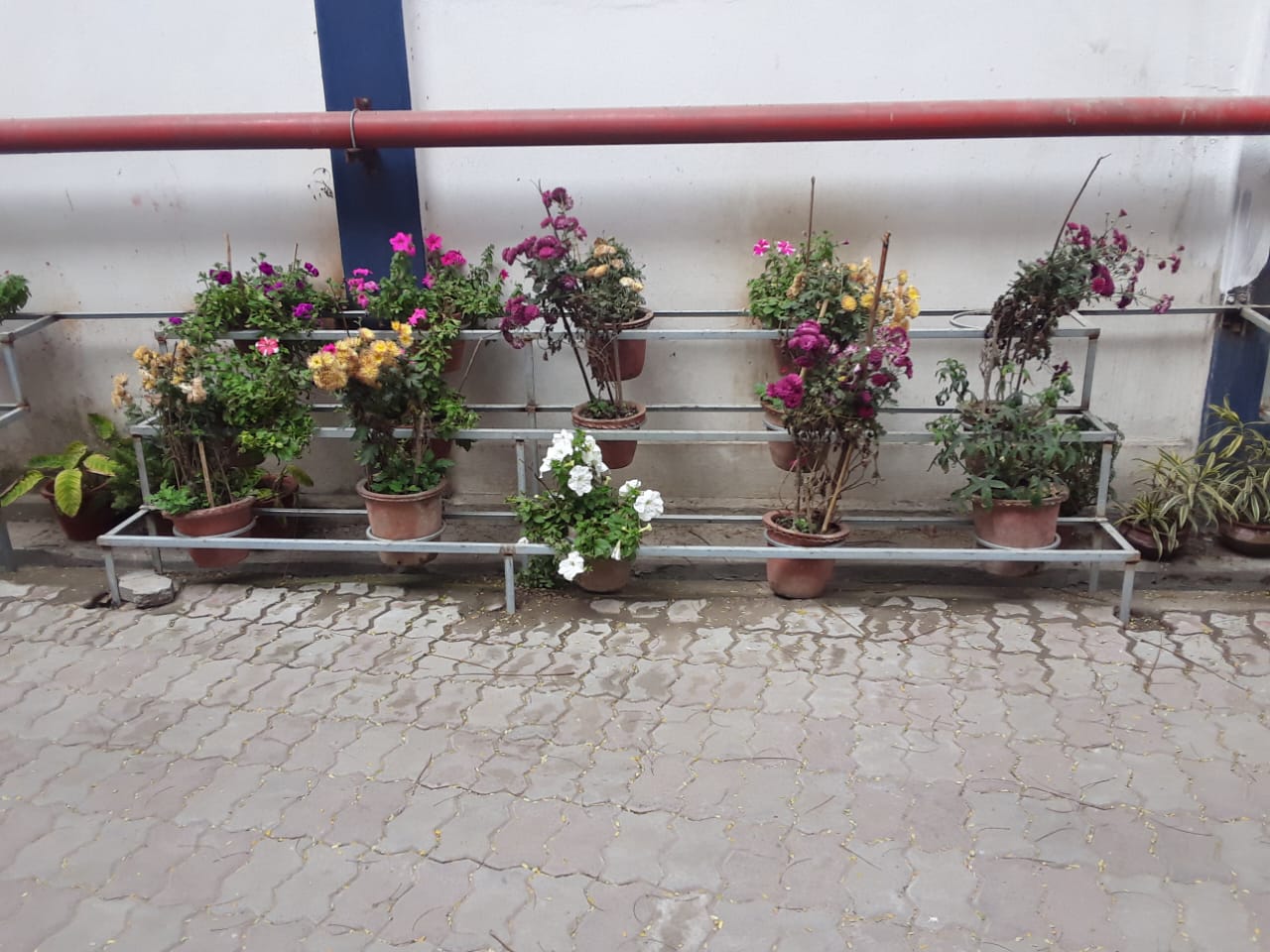 Recent fabrication project 33 by Radha Krishna Enterprise